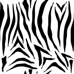 illustration of hand drawn seamless zebra pattern background