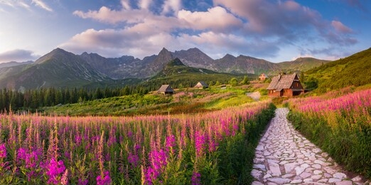 mountain landscape, tatra mountains panorama, poland colorful flowers and cottages in gasienicowa valley (hala gasienicowa), summer