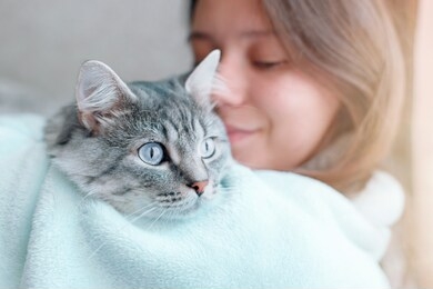 beautiful woman at home holding and hug her lovely fluffy cat. gray tabby cute kitten with blue eyes. friend of human. good sunny morning.