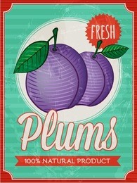 vector vintage styled fresh plums poster