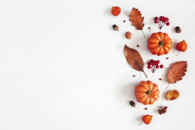 autumn composition. dried leaves, pumpkins, flowers, rowan berries on white background. autumn, fall, halloween, thanksgiving day concept. flat lay, top view, copy space