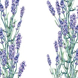 lavender banner