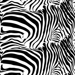seamless pattern - skin of a zebra, tiger.