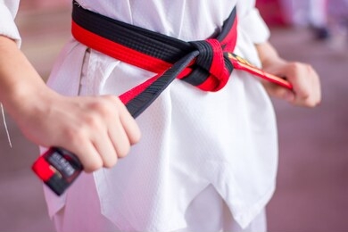 taekwondo kids caught the fighter rope