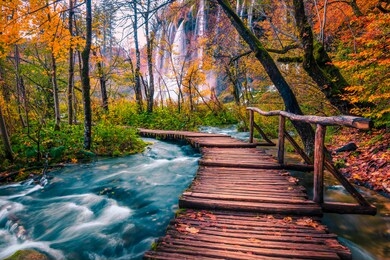 popular touristic wooden bridge in the colorful autumn deep forest. wooden promenade with clean brook and spectacular waterfalls, plitvice national park, croatia, europe
