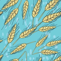 seamless vector pattern with ears of wheat on blue background. wallpaper, fabric and textile design. cute wrapping paper pattern with ears. good for printing.