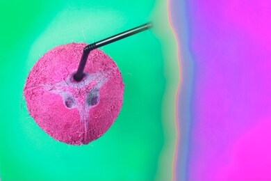 coconut with black straw on neon bright pink and turquoise background in vaporwave webpunk style, top view . summer concept tropical flat lay. fashion minimalism surrealism in fruits 