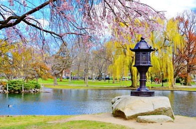 lagoon at boston public garden in boston, massachusetts, usa.