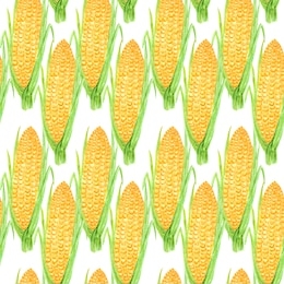 seamless pattern watercolor painted collection of orange yellow corn. cartoon style hand drawn fresh vegan food on white background. fabric autumn texture