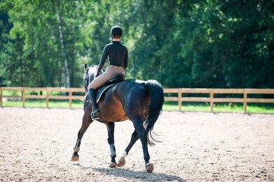 training process. young teenage girl riding bay horse on arena at equestrian school. colored outdoors horizontal summertime image with filter. view from backside