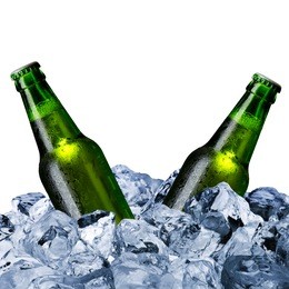 beer bottles with ice cube
