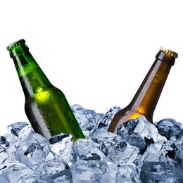 beer bottles with ice cube
