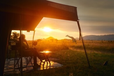 woman rests after safari in luxury tent during sunset camping in the african savannah of serengeti national park, tanzania.woman camping tent savanna outdoors concept