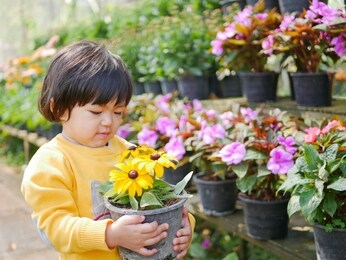 happy little asian baby girl receiving / taking a pot of refreshing yellow flowers from her mother - engaging with nature provides positive impact on children's health and development 