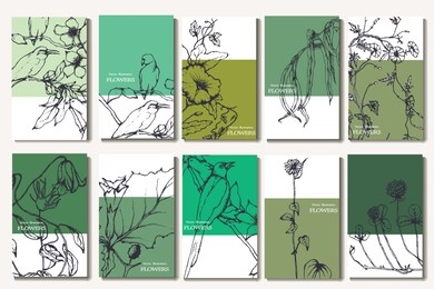 herbal illustration on label packaging design. hand drawn vector botanic set with curly flowers and birds
