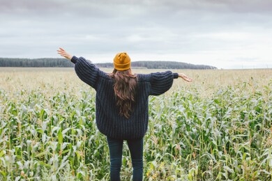 beautiful carefree long hair asian girl in the yellow hat and knitted sweater from behind in the autumn corn field. sensitivity to nature concept