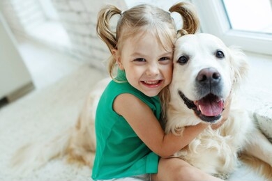 a child with a dog. girl with a labrador at home. 