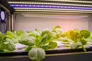 organic hydroponic vegetable grow with led light indoor farm,agriculture technology