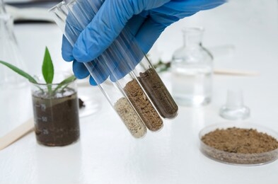laboratory assistant holding glass tubes of sand, black soil and clay befor testing them