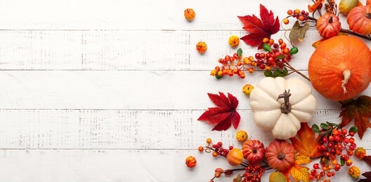 festive autumn decor from pumpkins, berries and leaves on a white  wooden background. concept of thanksgiving day or halloween. flat lay autumn composition with copy space.