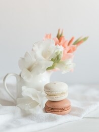 two pastel french macarons and flowers in a jar on a white background. cream and chocolate macarons. 