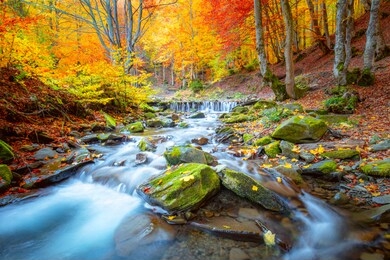 amazing autumn landscape -  river waterfall in colorful autumn forest park with yellow red  leaves, big resolutions