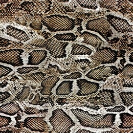 snake skin texture seamless pattern design 