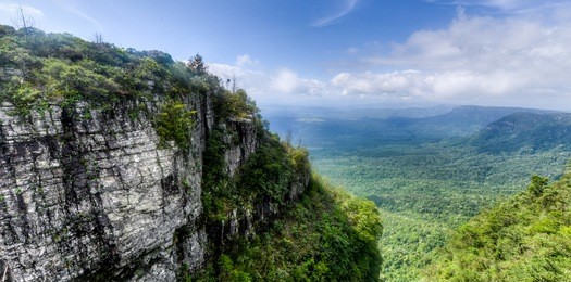 panoramic vista from god's window - blyde river canyon - mpumalanga - south africa