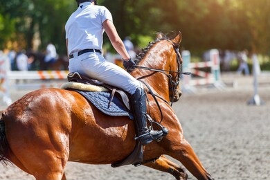 young male horse rider on equestrian sport competition in show jumping contest
