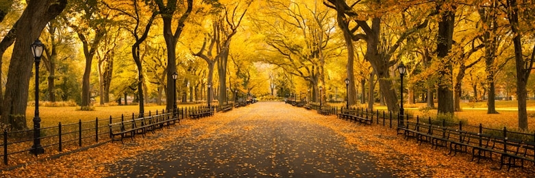 central park in autumn, new york city, usa 