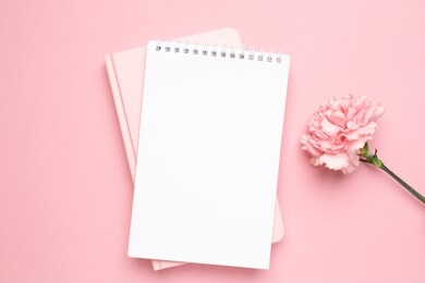 white and pink notebook with carnation flower on a pink background