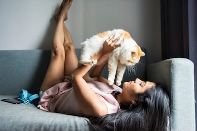 beautiful asian girl holding and cuddling cute yellow exotic shorthair cat on sofa in condo living room. woman playing with pet in living room at weekend.
