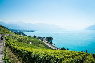 vineyards of the lavaux region over lake leman (lake of geneva)