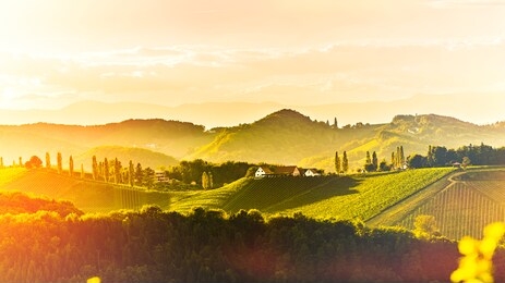 south styria vineyards landscape, near gamlitz, austria, eckberg, europe. grape hills view from wine road in spring. tourist destination, panorama