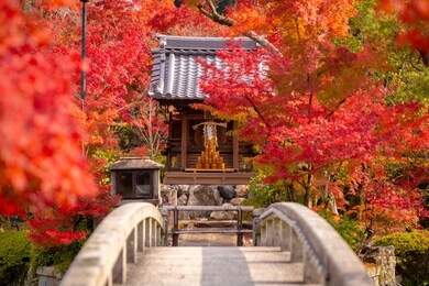 eikando or eikan-do zenrinji shrine famous place to see fall leaf with beautiful garden in kyoto, japan.