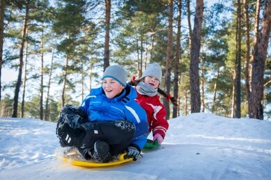 in winter, in a pine forest on a bright sunny day, little brother and sister ride from the mountain on plastic plates.