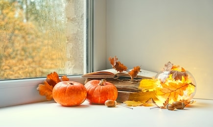 orange pumpkins on window sill. beautiful autumn seasonal composition. fall time, thanksgiving and halloween concept. home comfort.  soft selective focus