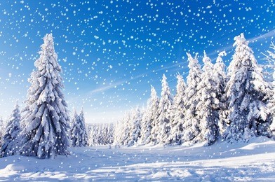 snowfall in amazing winter landscape with sunshine and blue sky