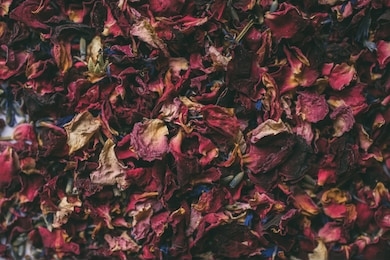 dried flower petals as texture and background for design. rose and lavender close up.  