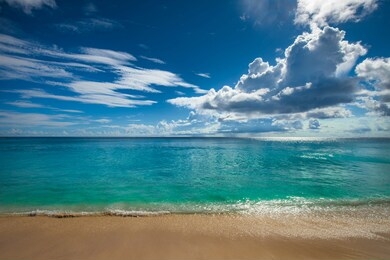 tropical island beach. perfect vacation background.