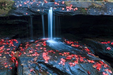 the red maples leaves and beautiful waterfall
