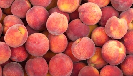 many sweet peach fruits background