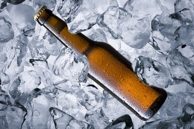 beer bottle on ice cube