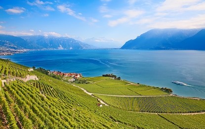 vineyards of the lavaux region over lake leman (lake of geneva)