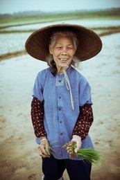 chinese peasant working on the rice field