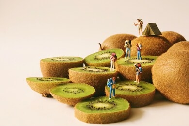 miniature backpacker group walking on a fresh kiwi, camping mountain concept.