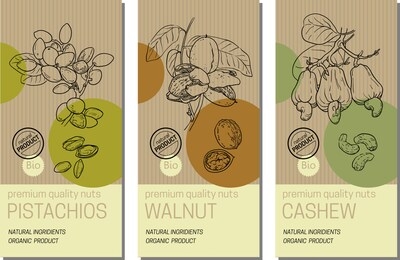 vector set of labels with nuts sketches: pistachios, walnut, and cashew. healthy food, bio, organic, natural product. craft paper packaging