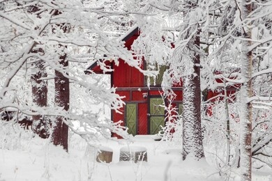 beautiful red wooden house in snow fairy forest sweden. house painted in traditional swedish color. winter scenery with red cottage surrounded by trees covered with snow and frost. space for your text