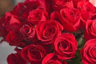 red natural roses background