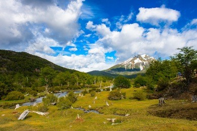 incredible nature of the ushuaia national park, tierra del fuego, argentina